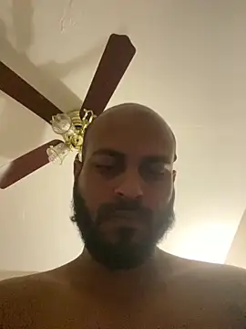 islandvybee55n Webbikameraesitys