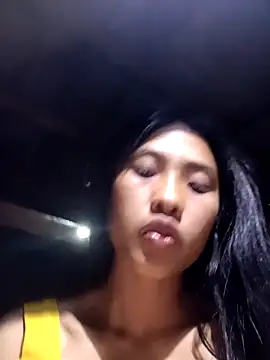 Hoa-tuylip Webcam show