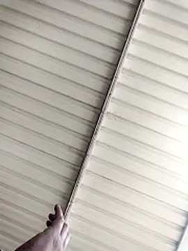 Chat +18 de Baby_P ao vivo