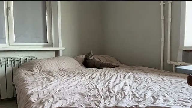 lisa_montana live XXX chat