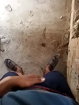 Show webcam de shektiwari