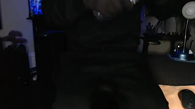 Show Webcam de EspanolVato