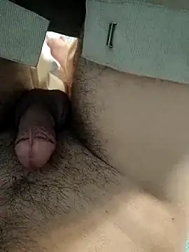 M_Bull_Play_Boy Webcam-Show