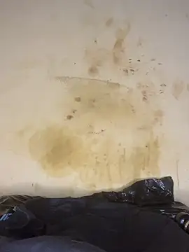 AngelaZamera Chat XXX in diretta