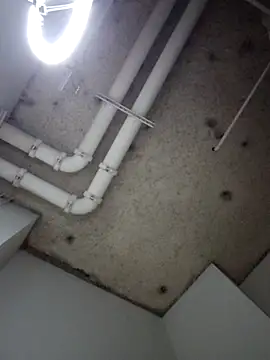 DarkSkinStroker: вебкам-шоу