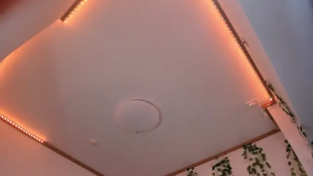 Viv_PlayerのライブXXXチャット