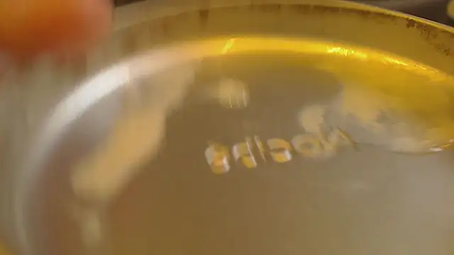 Show de Ayrton37 na webcam