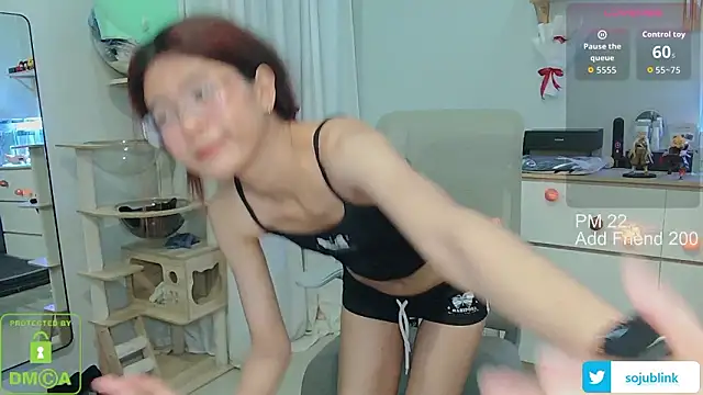 Show modela littlemiilk na web-kameri