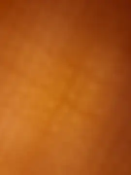 PlasticSurface727 ওয়েবক্যাম শো