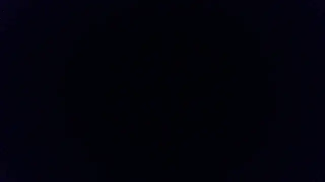 Show webcam de BunnyYT