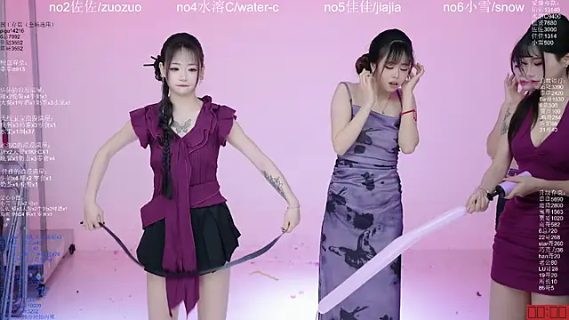 ATY1314 – Kamerová šou