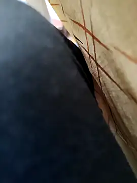 Hgay6935のウェブカメラショー