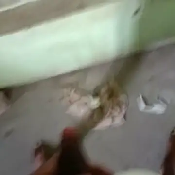 Вебкам-шоу tamil_paiyan7