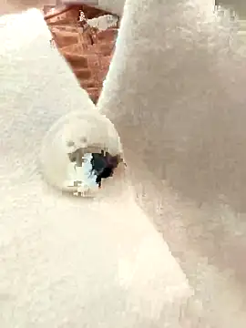 Chat +18 de YourSweetRi ao vivo