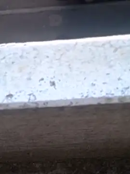 pagani5656 Adlı Modelin Web Kamerası Şovu