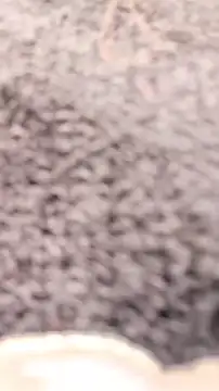 Risky_julia2330 Adlı Modelin Canlı XXX Sohbeti