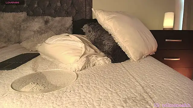 Czat XXX na żywo – Hairyparadise