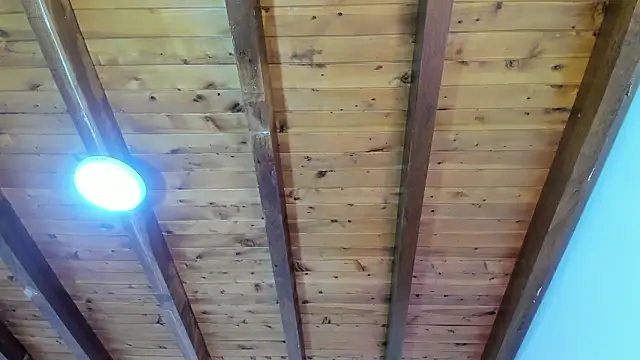 Im_FelixHunter Adlı Modelin Web Kamerası Şovu