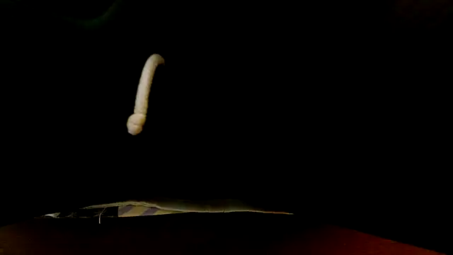 JohanyLatino Adlı Modelin Web Kamerası Şovu