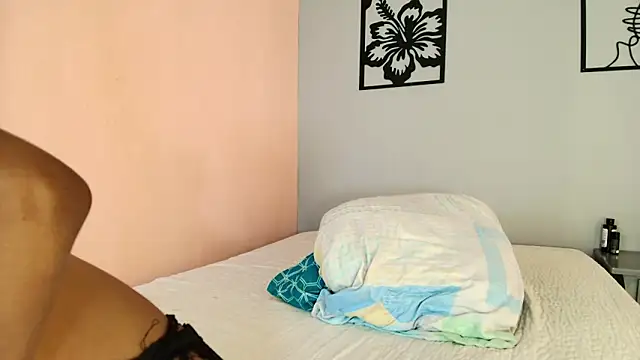 Lorensgill Webcam show