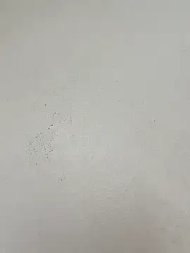 guridosul051 现场XXX聊天