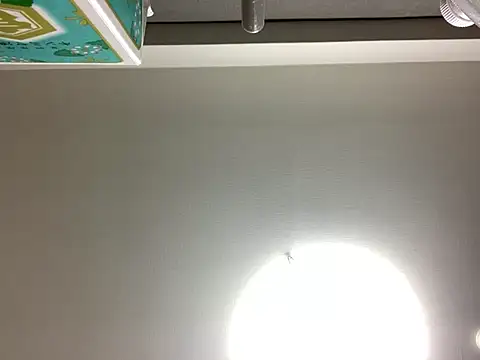 0p-saki-p0's Live XXX Chat