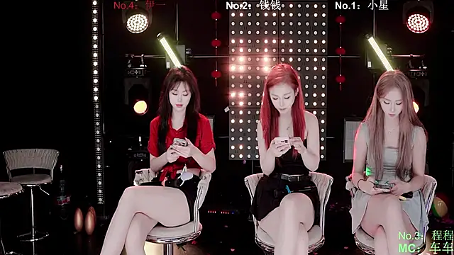 ZZ00033S 网络视讯表演