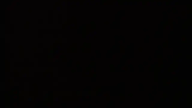 Bitch_Coin Show in webcam