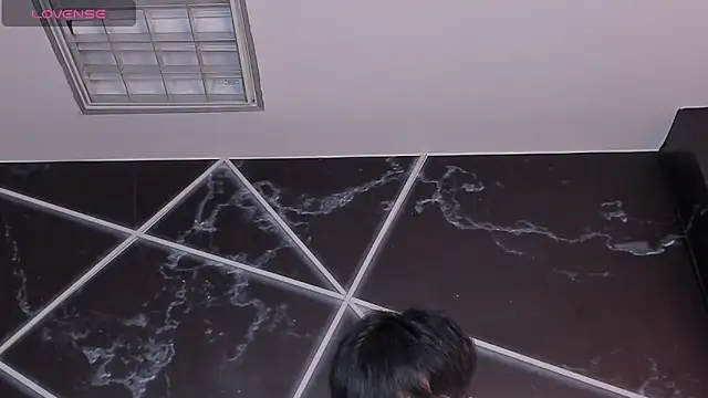 AerumChaeのウェブカメラショー