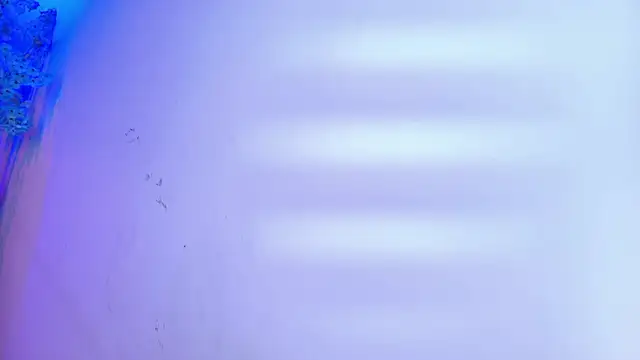 Miia__owens' Live XXX Chat