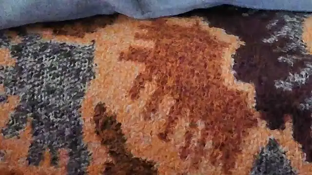 cumloverboyxx69 Webcam Show