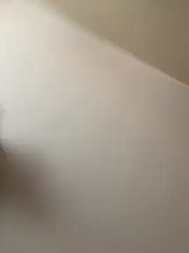 Flossy_Vettie live XXX chat