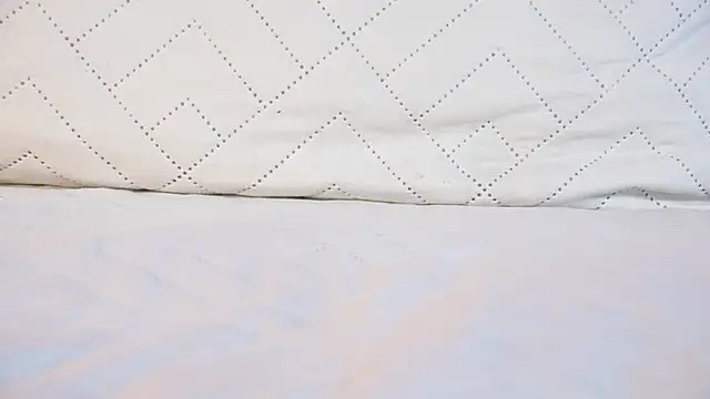 ambar_rosse25's Live XXX Chat