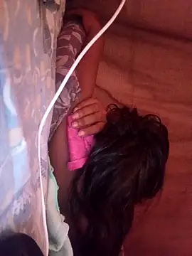 Show webcam de Hellentrans24