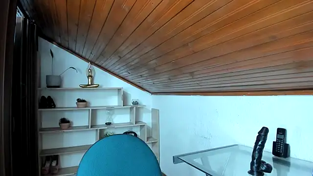 Živý XXX chat LinaBrowm