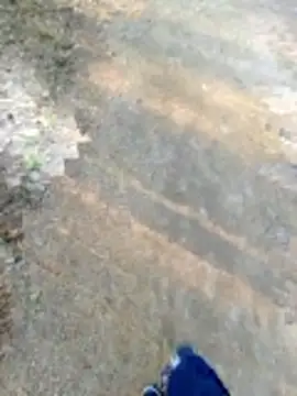 Show de Polishboyek na webcam