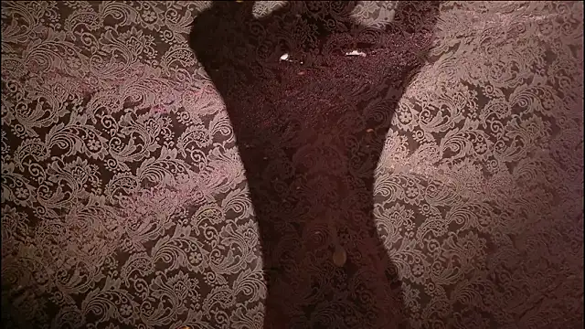 JH120のウェブカメラショー