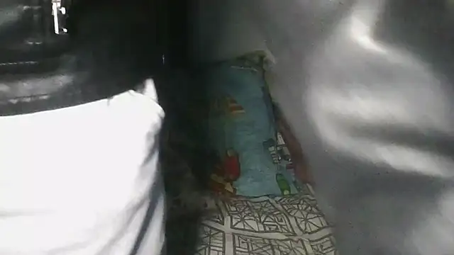 vitalik66679 Show Webcam