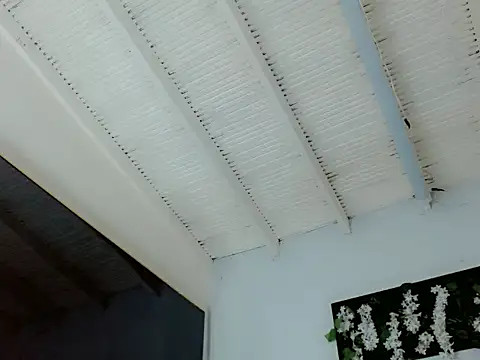 Show Webcam de sora_jun