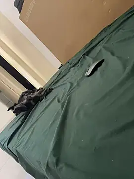 دردشة Jeff_pepper الجنسية المباشرة