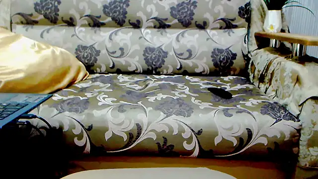 Show modela Live_View na web-kameri