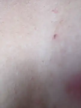 Chat XXX Live Eva_stark10