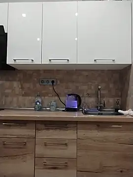 SalientClean 웹캠 쇼