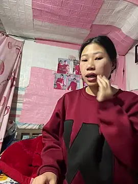 Spying_bird 网络视讯表演