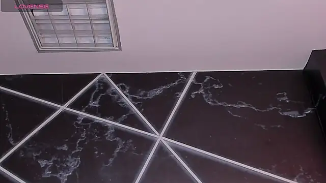 Show Webcam de AerumChae