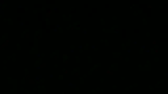 SattivvaXXX's Webcam Show