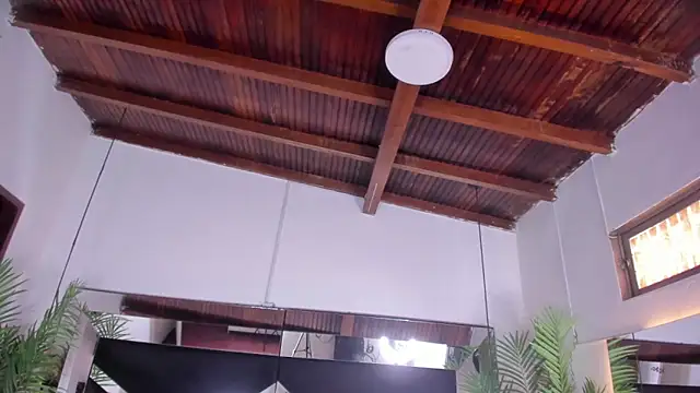 Chat XXX ao vivo de emily-fox