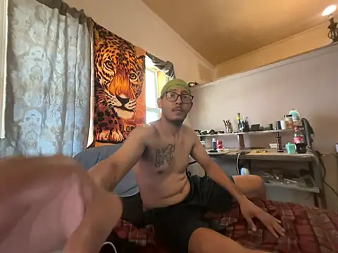 Show Webcam de ThrowedWorldWide