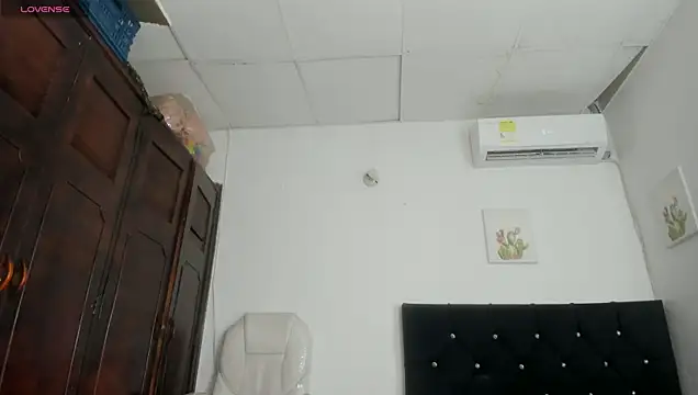 Вебкам-шоу barbie_ds