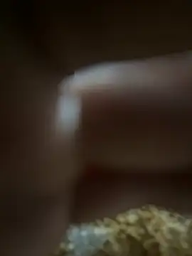 Anjaliangel07のウェブカメラショー